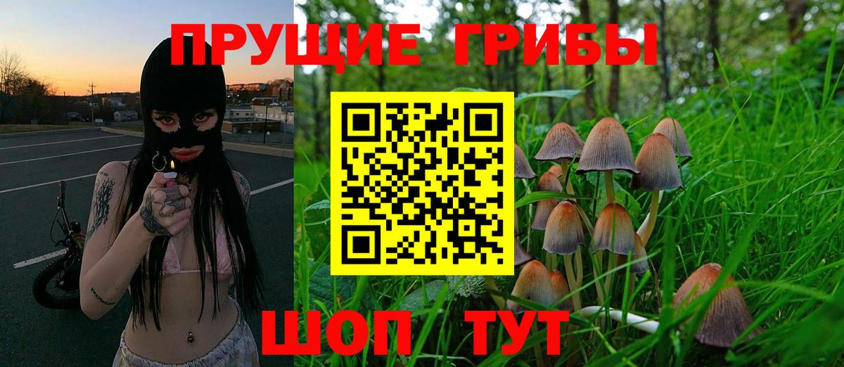 Псилоцибиновые грибы GOLDEN TEACHER Старая Купавна